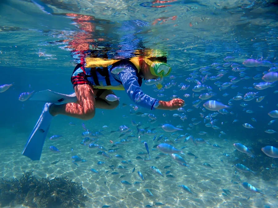 マリンスポーツ